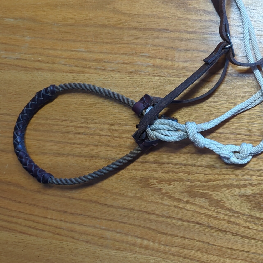 Rawhide Bosal - Picture 3 of 6
